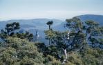 <span class="caption-caption">University of Queensland Bushwalking Club (UQBWC) Steamer Range, Scenic Rim area</span>, 1958. <br />Slide, collection of <span class="caption-contributor">Patrick Conaghan</span>.