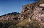 <span class="caption-caption">University of Queensland Bushwalking Club (UQBWC) Kangaroo Point Cliffs, Ronald T. Cox, abseiling down cliff</span>, 1959. <br />Slide, collection of <span class="caption-contributor">Patrick Conaghan</span>.