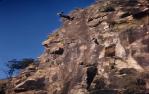 <span class="caption-caption">University of Queensland Bushwalking Club (UQBWC) Kangaroo Point Cliffs, Ronald T. Cox, abseiling down cliff</span>, 1959. <br />Slide, collection of <span class="caption-contributor">Patrick Conaghan</span>.