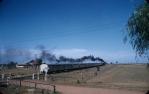 <span class="caption-caption">“Westlander” passenger-train leaving Roma pulled by two steam-locomotives (diesel-locomotives were too heavy for the bridges west of Roma)</span>, c1959. <br />Slide, collection of <span class="caption-contributor">Patrick Conaghan</span>.