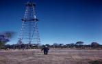 <span class="caption-caption">“Narraburra” property, Roma district, site of the Roma Blocks Oil Company’s petroleum-exploration well 1941, the abandoned derrick of this well was subsequently dismantled and reassembled at the Roma Tourist Information Centre in 1990 as The Big Rig</span>, 1959. <br />Slide, collection of <span class="caption-contributor">Patrick Conaghan</span>.