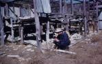 <span class="caption-caption">Roma district, site of Roma Blocks Oil Company’s petroleum-exploration well 1938, abandoned core-storage shed</span>, 1959. <br />Slide, collection of <span class="caption-contributor">Patrick Conaghan</span>.