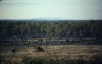 <span class="caption-caption">Injune district from the Carnarvon Developmental Road</span>, 1986. <br />Slide, collection of <span class="caption-contributor">Patrick Conaghan</span>.