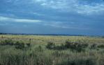 <span class="caption-caption">Arcadia Valley across clear-felled brigalow country toward the Expedition Range</span>, 1986. <br />Slide, collection of <span class="caption-contributor">Patrick Conaghan</span>.