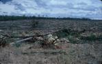 <span class="caption-caption">Injune district near “Fairview” property, clear-felled mixed brigalow/cypress-pine woodland  using a ball-and-chain dragline</span>, 1986. <br />Slide, collection of <span class="caption-contributor">Patrick Conaghan</span>.