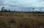 <span class="caption-caption">Arcadia Valley toward the Expedition Range, note remnant deliberately-preserved young bottle-trees left after the clear-felling of the brigalow scrub</span>, 1986. <br />Slide, collection of <span class="caption-contributor">Patrick Conaghan</span>.