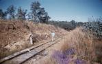 <span class="caption-caption">Injune branch-railway line north of Roma, the last train ran on this railway line in 1966 and the rails removed in 1968</span>, 1959. <br />Slide, collection of <span class="caption-contributor">Patrick Conaghan</span>.