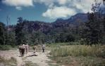 <span class="caption-caption">University of Queensland Bushwalking Club (UQBWC) trip to Teviot Brook Falls area Scenic Rim</span>, 1959. <br />Slide, collection of <span class="caption-contributor">Patrick Conaghan</span>.
