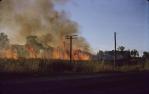 <span class="caption-caption">Burning sugar cane near Cairns, area is now a Cairns suburb</span>, 1965. <br />Slide, collection of <span class="caption-contributor">Rex Grattidge</span>.