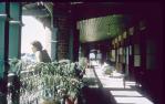 <span class="caption-caption">Front verandah, looking south, at what was then the Queens Hotel, North Ward</span>, 1964. <br />Slide, collection of <span class="caption-contributor">Rex Grattidge</span>.