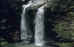 <span class="caption-caption">Twin Falls waterfall, Springbrook National Park</span>, 1948. <br />Slide, collection of <span class="caption-contributor">Robert Ball</span>.