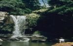 <span class="caption-caption">Curtis Falls, Cedar Creek National Park</span>, 1948. <br />Slide, collection of <span class="caption-contributor">Robert Ball</span>.