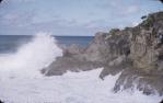 <span class="caption-caption">Near Point Lookout, North Stradbroke Island</span>, 1948. <br />Slide, collection of <span class="caption-contributor">Robert Ball</span>.