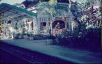 <span class="caption-caption">Railway station, Kuranda</span>, 1958. <br />Slide, collection of <span class="caption-contributor">Richard Hopkins</span>.