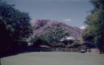 <span class="caption-caption">Castle Hill from tennis court of 'Devanna', a family home, North Ward</span>, 1960. <br />Slide, collection of <span class="caption-contributor">Richard Hopkins</span>.
