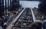 <span class="caption-caption">The Kangaroo is launched from Evans Deakin Shipyards' launching platform, Kangaroo Point</span>, 1962. <br />Slide, collection of <span class="caption-contributor">Richard Hopkins</span>.