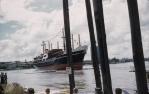 <span class="caption-caption">The Kangaroo being held in check by chains, Kangaroo Point</span>, 1962. <br />Slide, collection of <span class="caption-contributor">Richard Hopkins</span>.