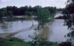 <span class="caption-caption">14 inches overflow at Walkers Bend crossing of Flinders River, Normanton, Carpentaria Shire</span>, 1966. <br />Slide, collection of <span class="caption-contributor">Richard Hopkins</span>.