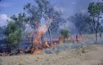 <span class="caption-caption">Fires were often caused by steam train sparks: Gallager's property, 8 miles outside Normanton</span>, 1966. <br />Slide, collection of <span class="caption-contributor">Richard Hopkins</span>.