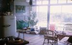 <span class="caption-caption">Christmas tree at a family beach house, Peregian Beach</span>, 1968. <br />Slide, collection of <span class="caption-contributor">Richard Hopkins</span>.