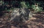 <span class="caption-caption">Banfield's grave, Dunk Island, Whitsunday, Great Barrier Reef</span>, 1976. <br />Slide, collection of <span class="caption-contributor">Richard Hopkins</span>.