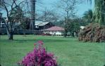 <span class="caption-caption">Entrance to Mossman sugar mill</span>, 1976. <br />Slide, collection of <span class="caption-contributor">Richard Hopkins</span>.