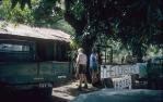 <span class="caption-caption">The Lions Den Hotel, Cooktown</span>, 1972. <br />Slide, collection of <span class="caption-contributor">Ruth Read</span>.