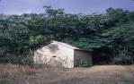 <span class="caption-caption">Old structure, Cooktown</span>, 1972. <br />Slide, collection of <span class="caption-contributor">Ruth Read</span>.