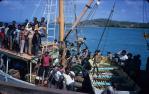 <span class="caption-caption">The Melbidir unloads at Red Island Point, Torres Strait</span>, 1972. <br />Slide, collection of <span class="caption-contributor">Ruth Read</span>.