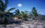 <span class="caption-caption">National Parks Association of Queensland temporary camp at Red Island Point, dubbed 'Palm Grove Village'</span>, 1972. <br />Slide, collection of <span class="caption-contributor">Ruth Read</span>.