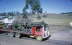 <span class="caption-caption">Elephant on the road to Toowoomba, near Marburg</span>, 1967. <br />Slide, collection of <span class="caption-contributor">Ruth Read</span>.