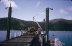 <span class="caption-caption">Hayman Island jetty</span>, 1974. <br />Slide, collection of <span class="caption-contributor">Ruth Read</span>.