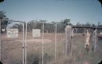<span class="caption-caption">Dingo fence on Dalby Road</span>, 1966. <br />Slide, collection of <span class="caption-contributor">Ruth Read</span>.