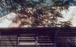 <span class="caption-caption">Roof and verandah, old Laura Homestead, Lakefield National Park, Cook Shire</span>, 1982. <br />Slide, collection of <span class="caption-contributor">Ruth Read</span>.