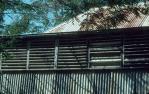 <span class="caption-caption">Roof and verandah, old Laura Homestead, Lakefield National Park, Cook Shire</span>, 1982. <br />Slide, collection of <span class="caption-contributor">Ruth Read</span>.