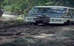 <span class="caption-caption">Branches over holes in road, Lakefield National Park, Cook Shire</span>, 1982. <br />Slide, collection of <span class="caption-contributor">Ruth Read</span>.