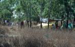 <span class="caption-caption">Blue Lagoon camping area, near the old homestead of Bizant, Lakefield National Park, Cook Shire</span>, 1982. <br />Slide, collection of <span class="caption-contributor">Ruth Read</span>.