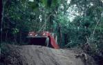 <span class="caption-caption">Road, Iron Range National Park, Cook Shire</span>, 1982. <br />Slide, collection of <span class="caption-contributor">Ruth Read</span>.