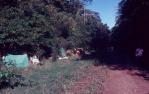 <span class="caption-caption">Camping near Lockhart River, with Indigenous community's permission</span>, 1982. <br />Slide, collection of <span class="caption-contributor">Ruth Read</span>.