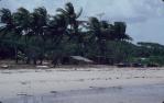 <span class="caption-caption">Quintell beach, Cook Shire</span>, 1982. <br />Slide, collection of <span class="caption-contributor">Ruth Read</span>.