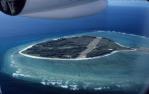 <span class="caption-caption">Lady Elliot Island</span>, 1987. <br />Slide, collection of <span class="caption-contributor">Ruth Read</span>.