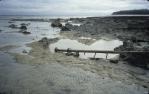 <span class="caption-caption">Lady Elliot Island</span>, 1987. <br />Slide, collection of <span class="caption-contributor">Ruth Read</span>.