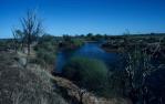<span class="caption-caption">Georgina River near Tropic of Capricorn, Boulia Shire</span>, 1995. <br />Slide, collection of <span class="caption-contributor">Ruth Read</span>.