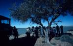 <span class="caption-caption">Muncoonie Lake West, Diamantina Shire</span>, 1995. <br />Slide, collection of <span class="caption-contributor">Ruth Read</span>.