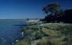 <span class="caption-caption">Muncoonie Lake West, Diamantina Shire</span>, 1995. <br />Slide, collection of <span class="caption-contributor">Ruth Read</span>.