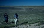 <span class="caption-caption">Treeless, Muncoonie, Diamantina Shire</span>, 1995. <br />Slide, collection of <span class="caption-contributor">Ruth Read</span>.