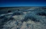 <span class="caption-caption">Ex-army trucks in treeless landscape, Muncoonie area</span>, 1995. <br />Slide, collection of <span class="caption-contributor">Ruth Read</span>.