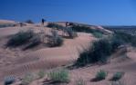 <span class="caption-caption">Exploring Big Red, the sand dune west from Birdsville</span>, 1995. <br />Slide, collection of <span class="caption-contributor">Ruth Read</span>.
