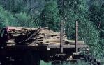 <span class="caption-caption">Timber truck, Petrie</span>, 1993. <br />Slide, collection of <span class="caption-contributor">Ruth Read</span>.