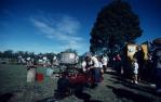 <span class="caption-caption">Working model steam train, Petrie</span>, 1993. <br />Slide, collection of <span class="caption-contributor">Ruth Read</span>.